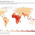 maternal mortality2