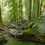 naturschutzgebiet steigerwald4