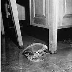 eva braun pictures death penalty2