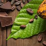 chocolate abuelita historia4
