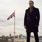 How much money did Skyfall make?2