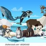 arctic animals cartoon2