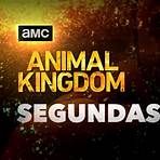 Animal Kingdom (TV series)5