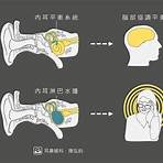 歌手戴的耳機叫什麼2