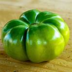 ruby's german green tomato2