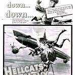 Hellcats of the Navy1