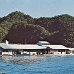 Palau wikipedia1