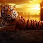 la tigre1