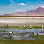 atacama chile2