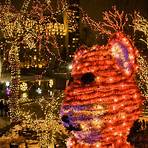 uno chicago grill lincoln park zoo chicago christmas lights2