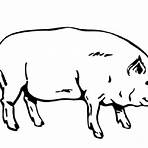 imagen de cerdo para colorear2