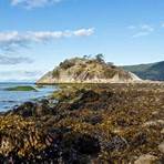 lighthouse park3