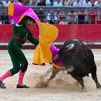 plaza de toros bullfight schedule1
