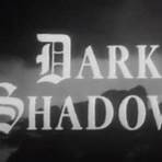 dark shadows: reincarnation by mark b. perry2