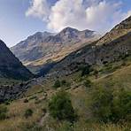 Tratado de los Pirineos wikipedia4
