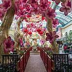 Bellagio Conservatory & Botanical Garden Las Vegas, NV1