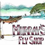what to look for in a fishing lure bar in virginia for sale3