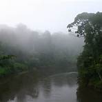luftfeuchtigkeit regenwald asien1