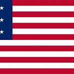 bandeira united states of america3