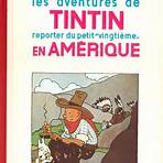 Tintin chez les négros3