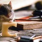 The Mouse That Roared filme3