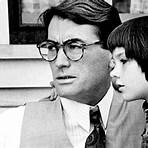 what kind of book is to kill a mockingbird movie4