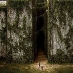 the labyrinth 20141
