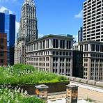 what year was the chicago city hall green roof installed near2