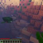 how to find sea turtle minecraft2