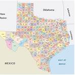cuantos condados tiene texas1
