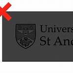 university of st andrews logo ball and loop3