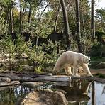 zoo de la flèche4