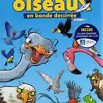 les oiseaux bd3