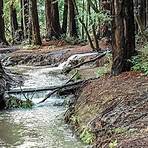 Roy's Redwoods Loop Trail Woodacre, CA3