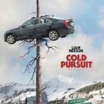 Cold Pursuit filme4