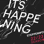 Steppenwolf Theatre Company3