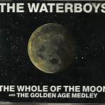 the waterboys discography2
