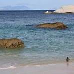 boulders beach cidade do cabo áfrica do sul4
