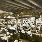 what diseases did industrialization cause in virginia4