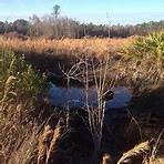 Rice Creek Conservation Area Palatka, FL1