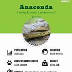 what is the native continent of the anaconda river1