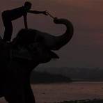 cuantos elefantes africanos quedan en el mundo4