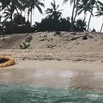 where was the island in the movie cast away stills home1