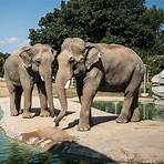 what are the best zoos in america ranked2
