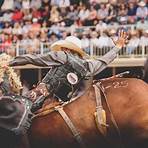 The Calgary Stampede4