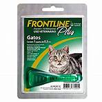 frontline gatos1