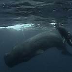 Whales of Atlantis: In Search of Moby Dick Film4