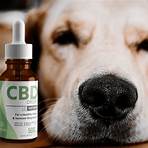 mentha cardiaca oil dosage recommendations for dogs2