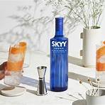 vodka skyy infusions5
