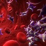 what does elevated platelets indicate in blood3